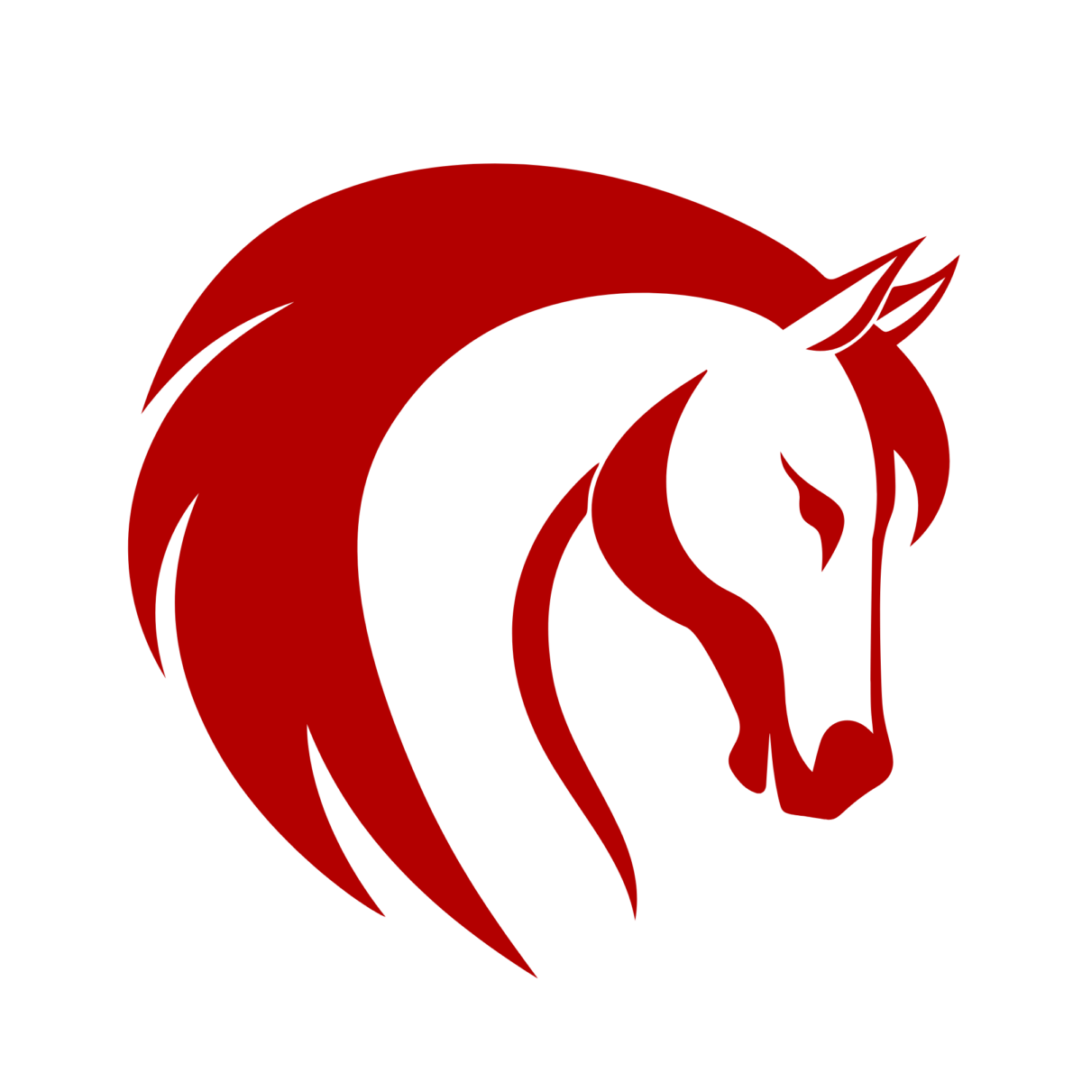 Logo Cheval islandais