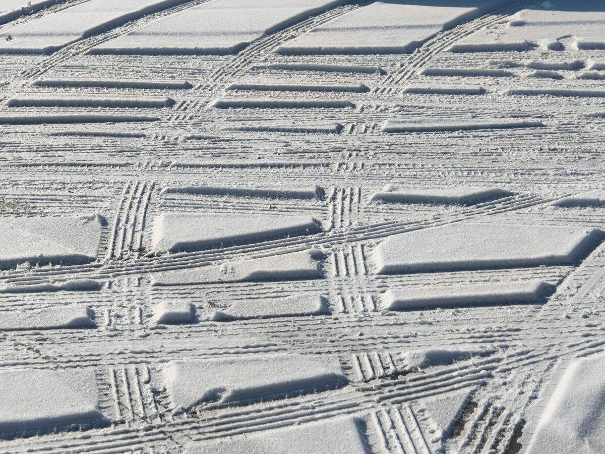 continent turf comprendre piste saison dominent